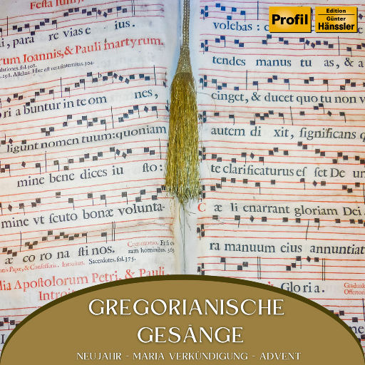 国产探花在线视频观看
